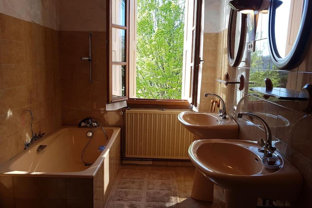 Maison De Famille Avec Parc Arbore Montauban Extérieur photo
