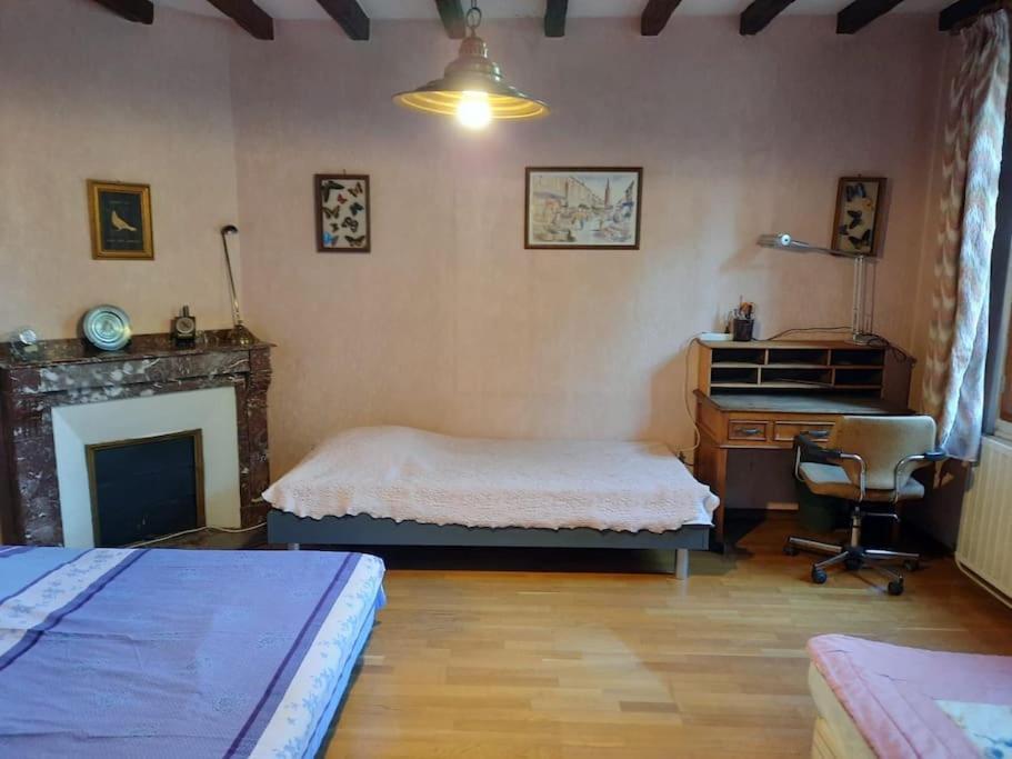 Maison De Famille Avec Parc Arbore Montauban Extérieur photo