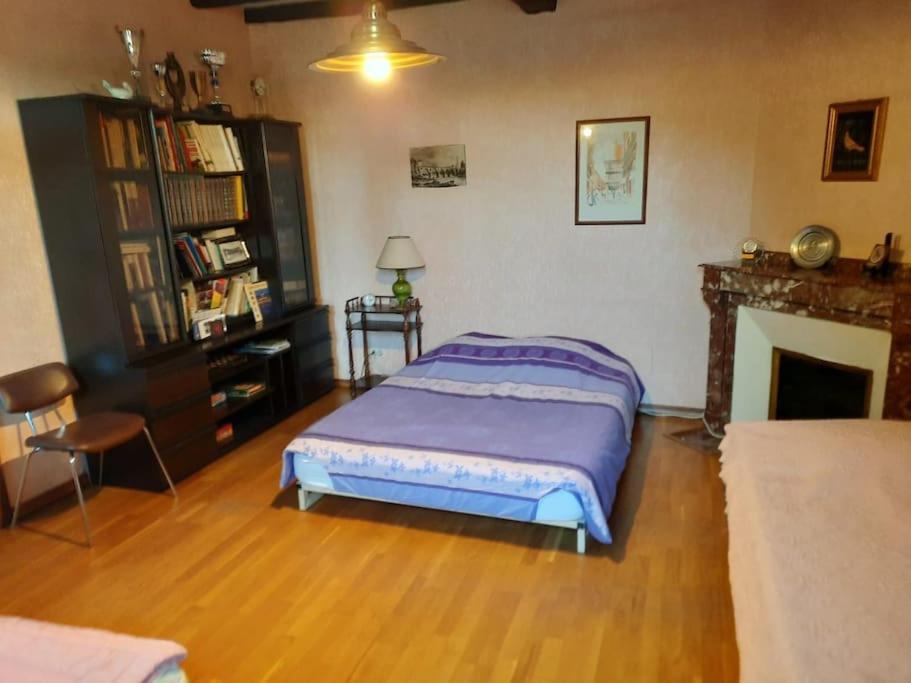 Maison De Famille Avec Parc Arbore Montauban Extérieur photo