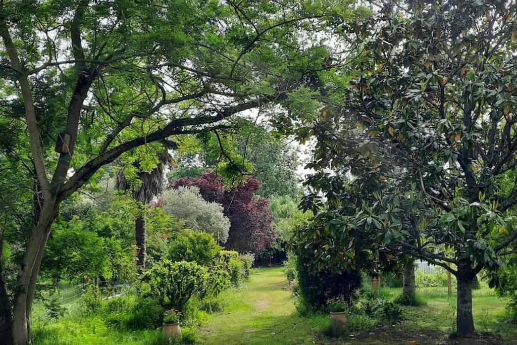 Maison De Famille Avec Parc Arbore Montauban Extérieur photo